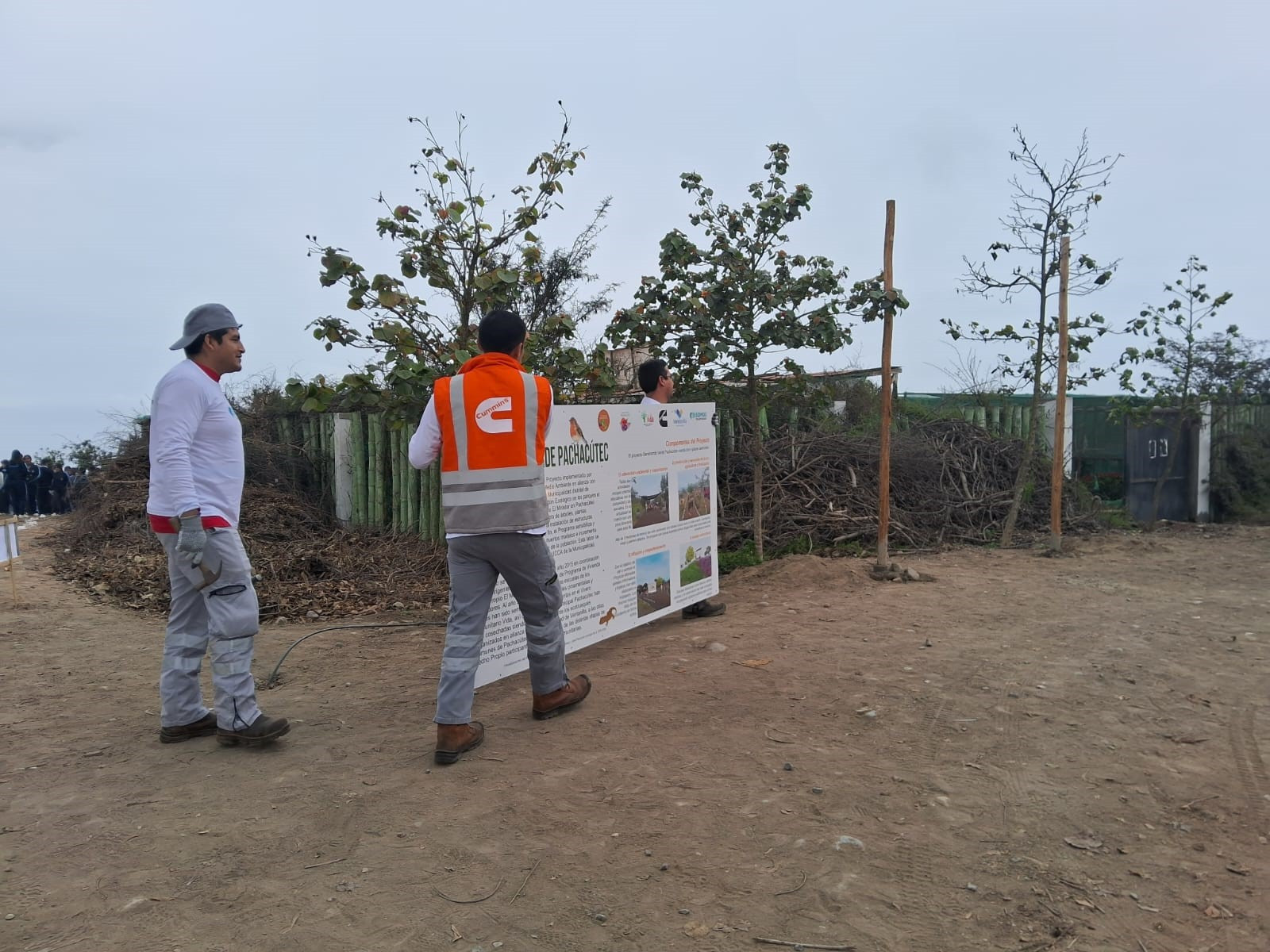 Equipo Cummins en la actividad Sembrando Verde